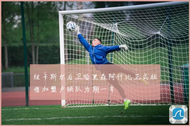 纽卡斯尔后卫哈里森阿什比正式租借加盟卢顿队为期一年